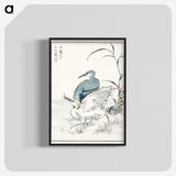 1-39_Pictorial-Monograph-of-Birds_blk-crop
