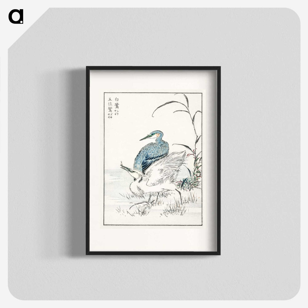 1-39_Pictorial-Monograph-of-Birds_blk
