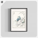 1-39_Pictorial-Monograph-of-Birds_blk