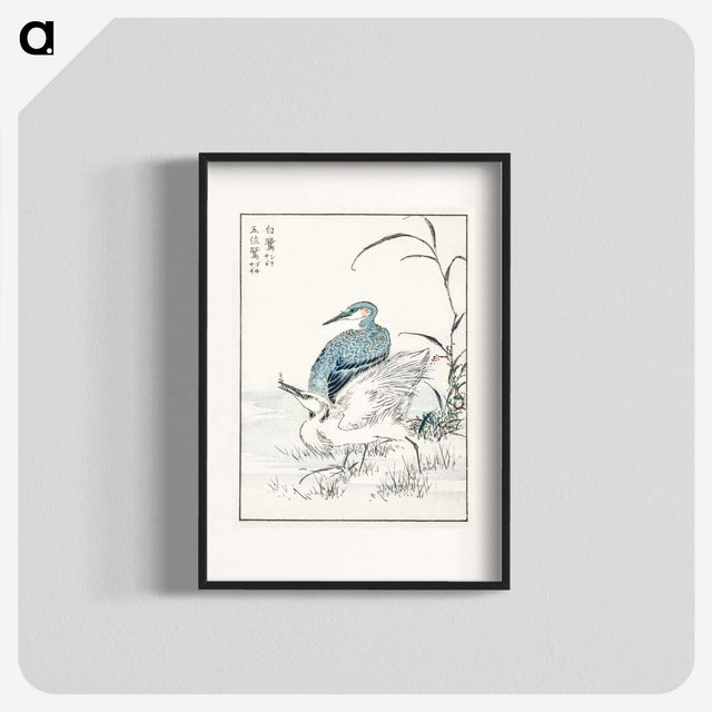 1-39_Pictorial-Monograph-of-Birds_blk