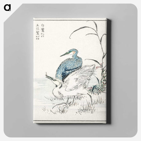 1-39_Pictorial-Monograph-of-Birds_canvas