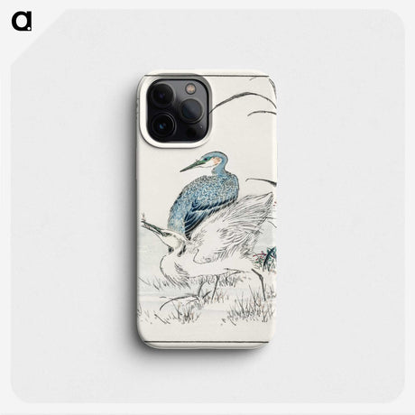 1-39_Pictorial-Monograph-of-Birds_phone