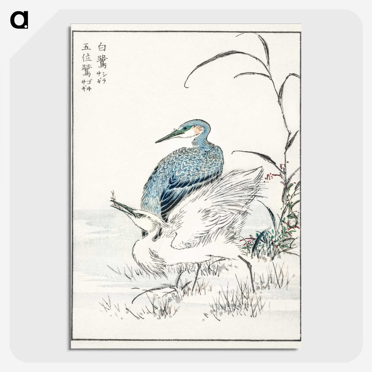 1-39_Pictorial-Monograph-of-Birds_picture-crop