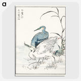 1-39_Pictorial-Monograph-of-Birds_picture-crop