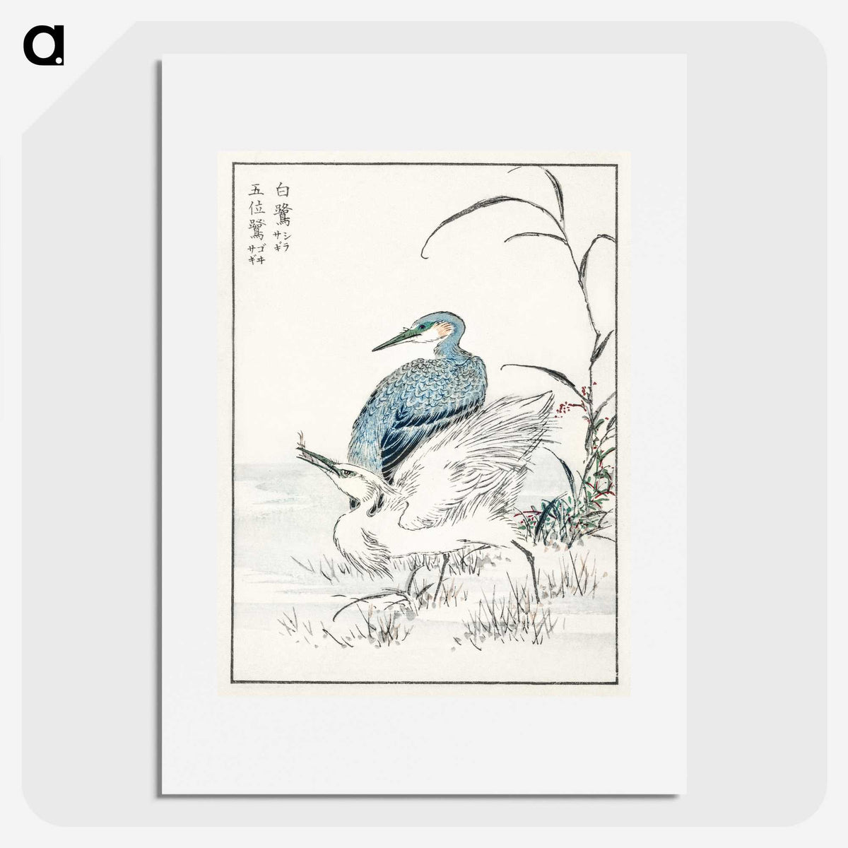 1-39_Pictorial-Monograph-of-Birds_picture