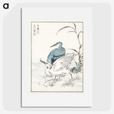1-39_Pictorial-Monograph-of-Birds_picture