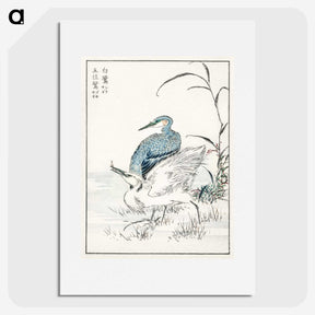 1-39_Pictorial-Monograph-of-Birds_picture