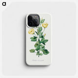 Reduta Heterophylla - ピエール ジョゼフ ルドゥーテ Phone Case.