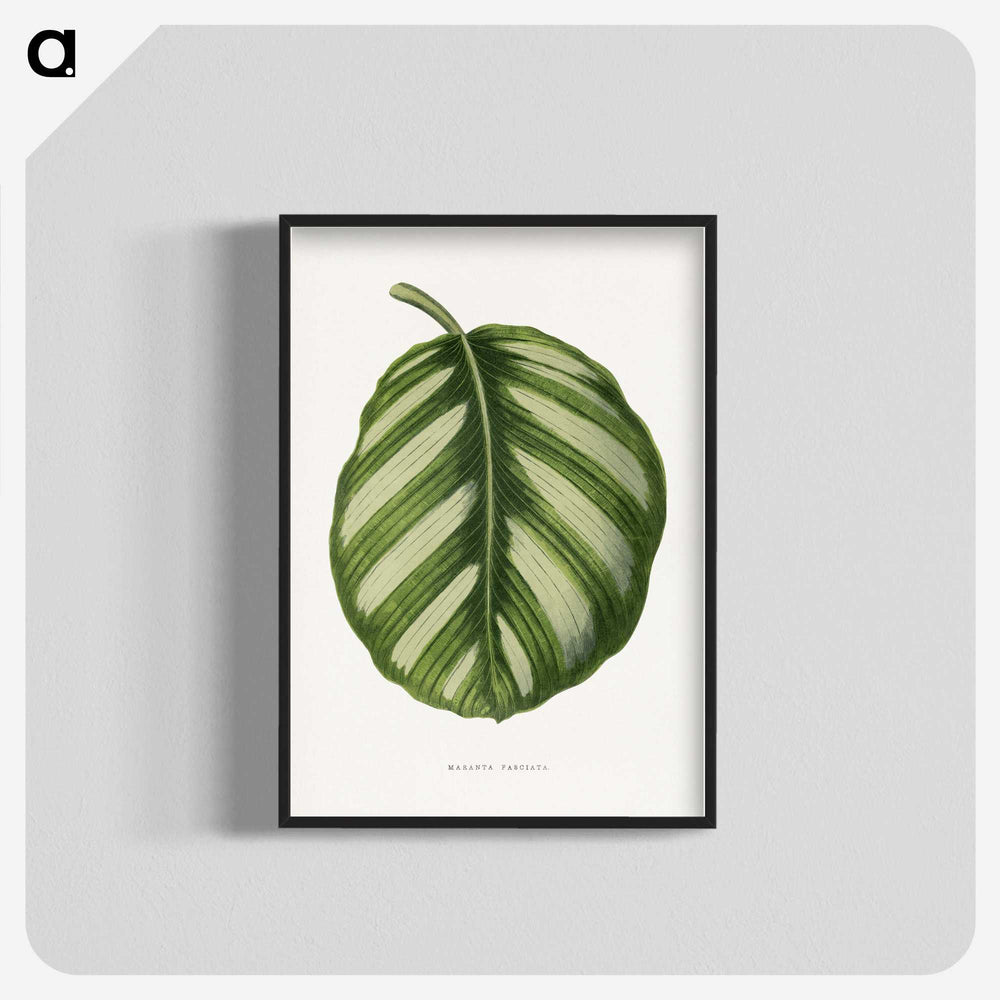 1-39_Plants-with-Colored-Foliage_blk-crop