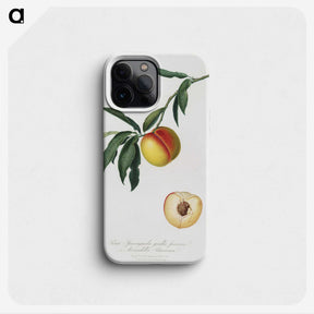 1-39_Pomona-Italiana_phone