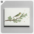 1-39_Robert-Jacob-Gordon_canvas