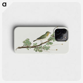 1-39_Robert-Jacob-Gordon_phone