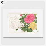 1-39_Seiyo-Soka-Zufu_picture