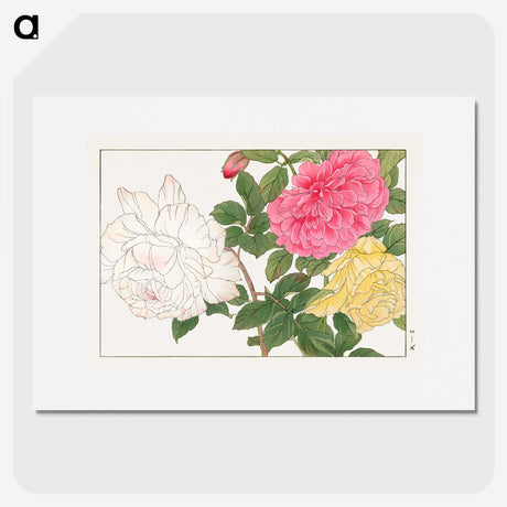 1-39_Seiyo-Soka-Zufu_picture