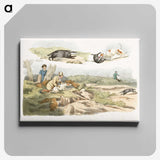 1-39_Sporting-Sketches_canvas
