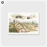 1-39_Sporting-Sketches_postcard