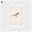 アートポストカード-Black-Capped Chickadee
 - スヴェンスカ フォグラル Postcard.