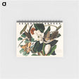 アートメモ帳-Black-billed Cuckoo from Birds of America
 - アメリカの鳥たち Memo.