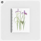 1-39_The-Genus-Iris_memo