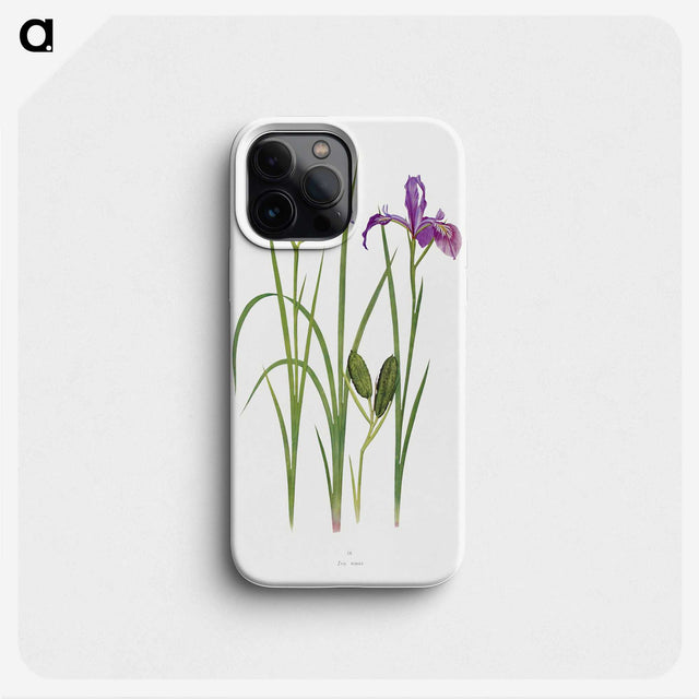 1-39_The-Genus-Iris_phone