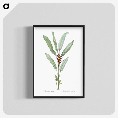 1-39_The-Lilies_blk-crop