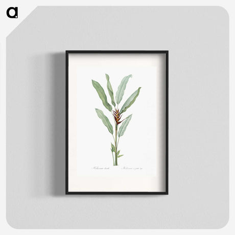 1-39_The-Lilies_blk