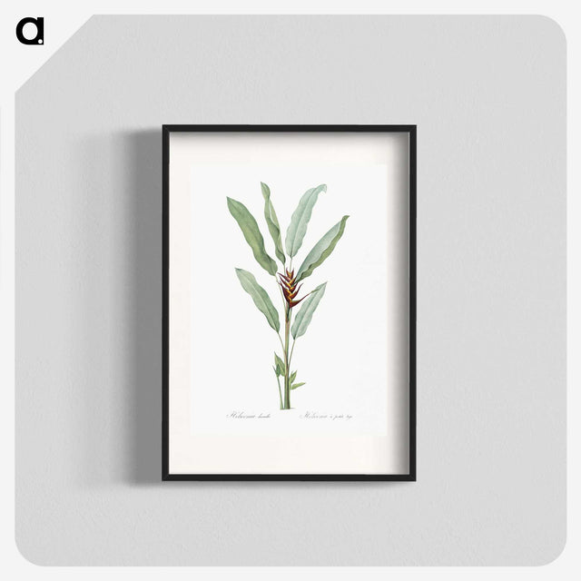 1-39_The-Lilies_blk