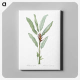 1-39_The-Lilies_canvas