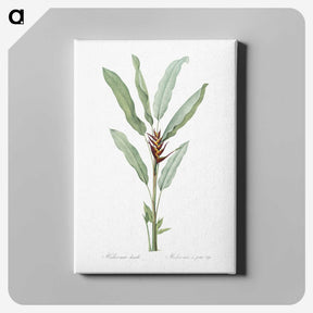 1-39_The-Lilies_canvas
