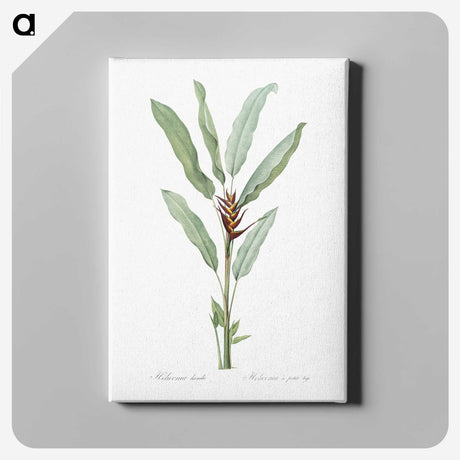 1-39_The-Lilies_canvas