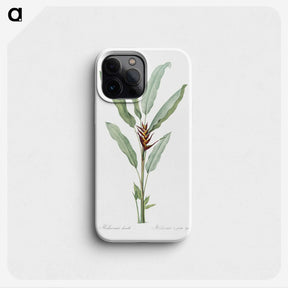 1-39_The-Lilies_phone