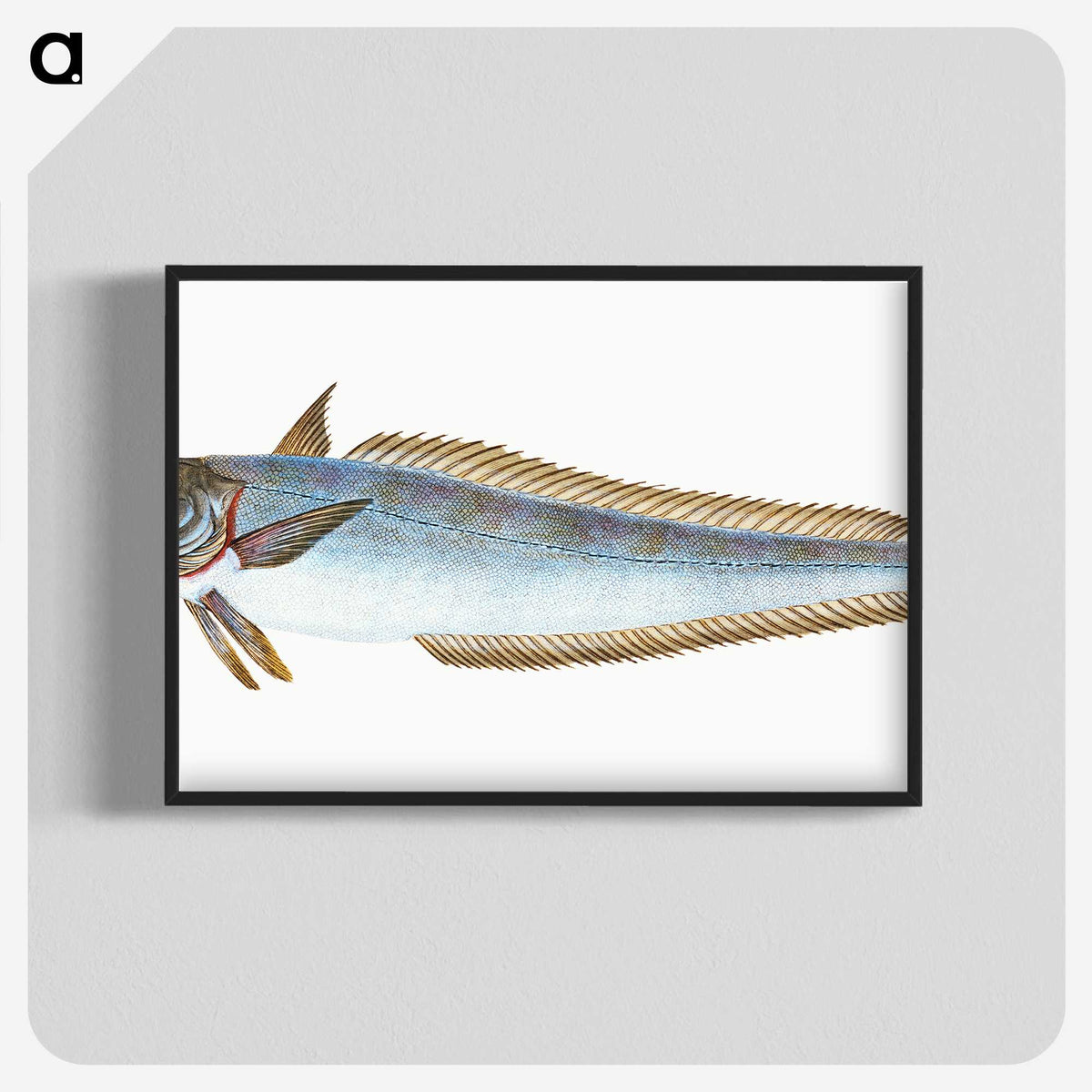 1-39_The-Natural-History-of-British-Fishes_blk-crop