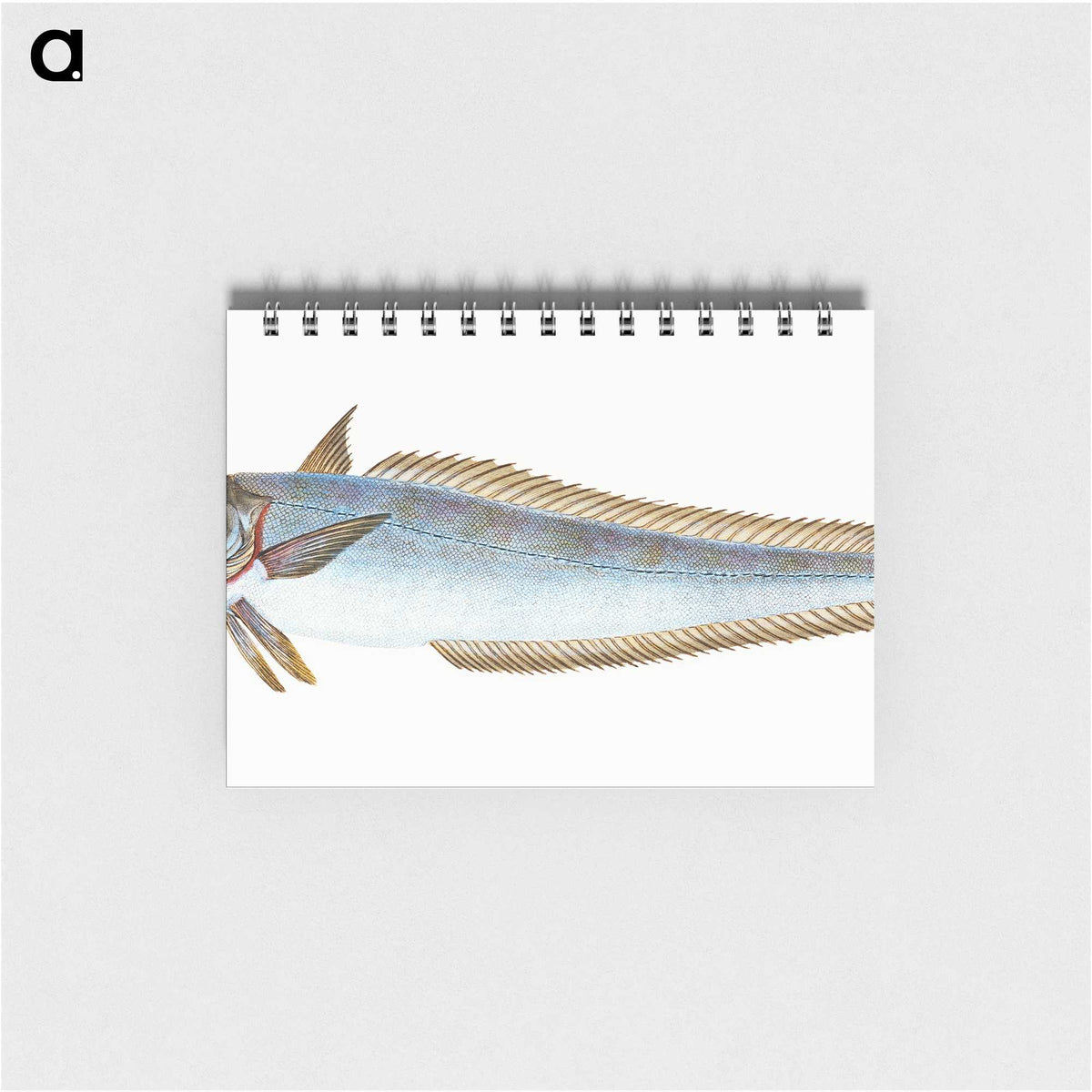 1-39_The-Natural-History-of-British-Fishes_memo