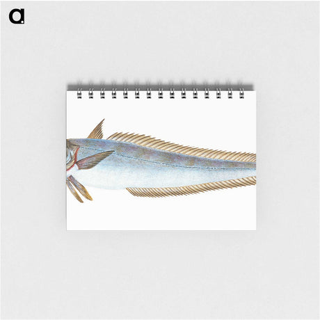 1-39_The-Natural-History-of-British-Fishes_memo