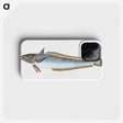 1-39_The-Natural-History-of-British-Fishes_phone