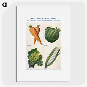 1-39_The-Open-Door-to-Independence_picture