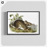 1-39_The-Viviparous-Quadrupeds_blk-crop