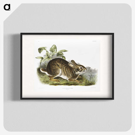 1-39_The-Viviparous-Quadrupeds_blk