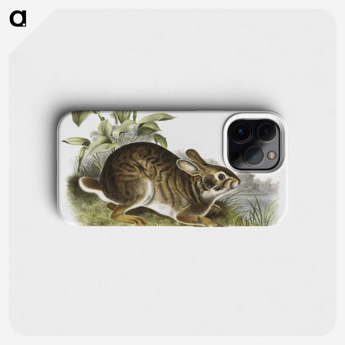1-39_The-Viviparous-Quadrupeds_phone
