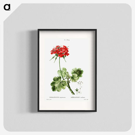 1-39_Treatise-on-Trees-and-Shrubs_blk