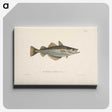1-39_Wilhelm-von-Wright_canvas