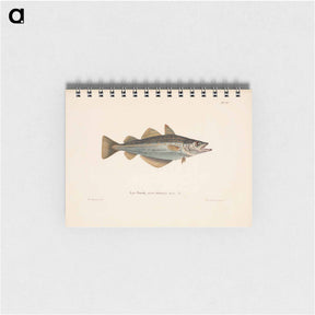 アートメモ帳-Atlantic pollock - ヴィルヘルム フォン ライト Memo.