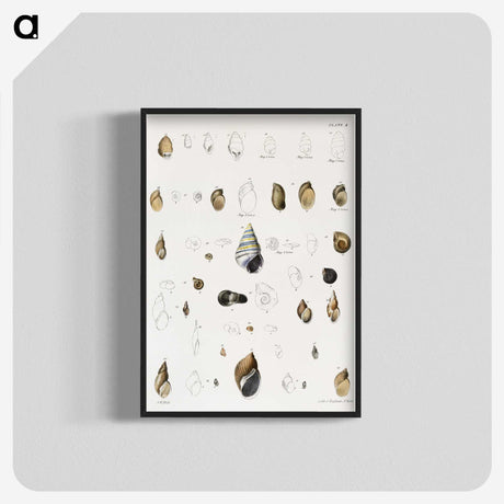 1-39_Zoology-of-New-York_blk-crop