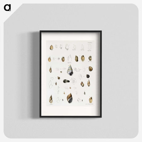 1-39_Zoology-of-New-York_blk