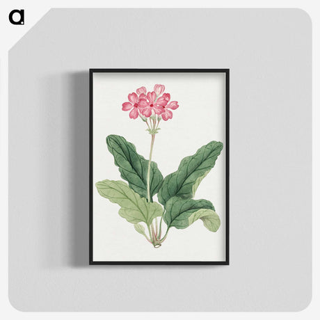 1-3_19th-Century-Japanese-Flowers_blk-crop