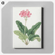 1-3_19th-Century-Japanese-Flowers_canvas