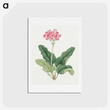 1-3_19th-Century-Japanese-Flowers_hagaki