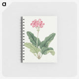 1-3_19th-Century-Japanese-Flowers_memo