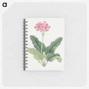 1-3_19th-Century-Japanese-Flowers_memo