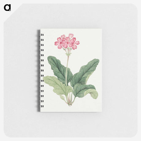 1-3_19th-Century-Japanese-Flowers_memo